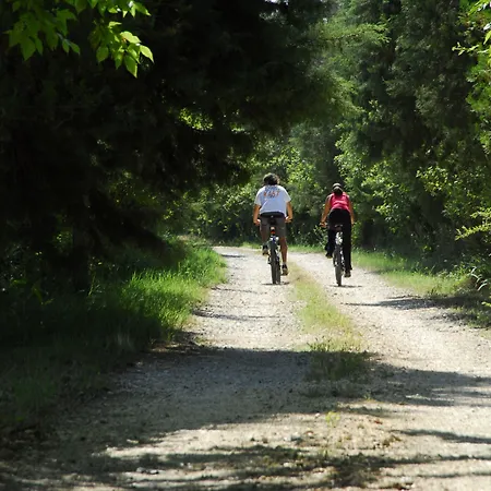 Quinta De Coalhos Th *