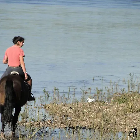 Quinta De Coalhos Th Абрантиш