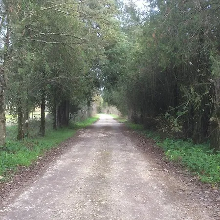 Alojamento de Turismo Rural Quinta De Coalhos Th *
