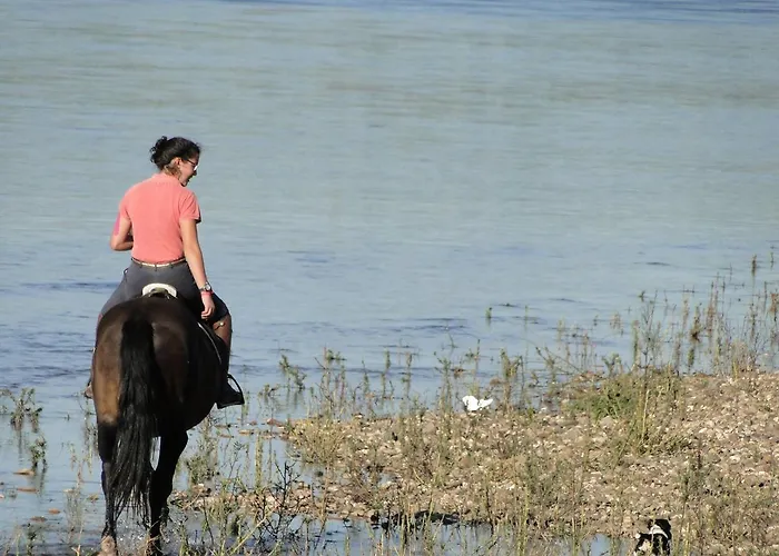 Quinta De Coalhos Th Abrantes