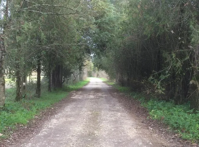 Gospodarstwo agroturystyczne Quinta De Coalhos Th *